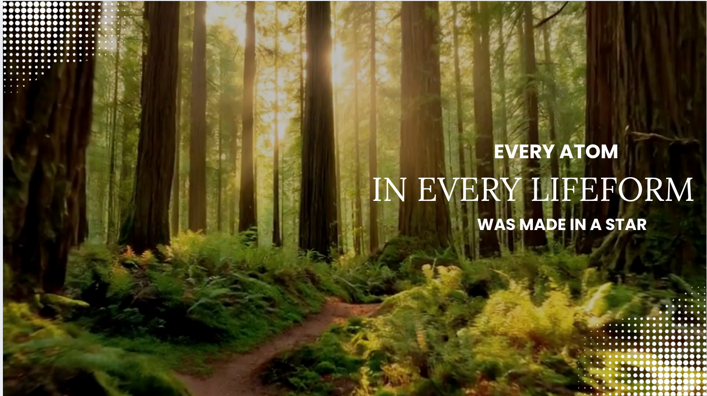 Primordial Singularity's Twin Birth of the Spirit Field & the Physical Universe – Before Stars