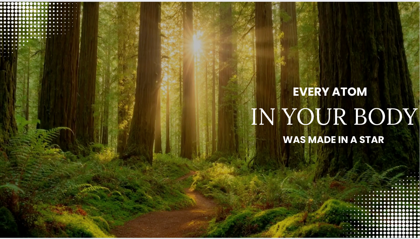 NuSpecianism Spirit Field — 30 Day Lifestyle Coherence for Better and Longer Life – Spiritual & Mental Health For NuSpecians