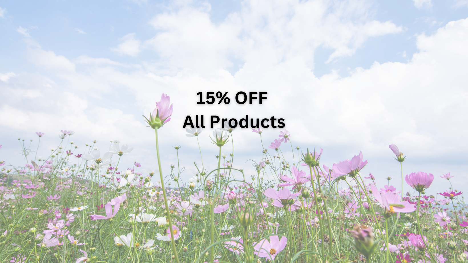 This Week's Discount