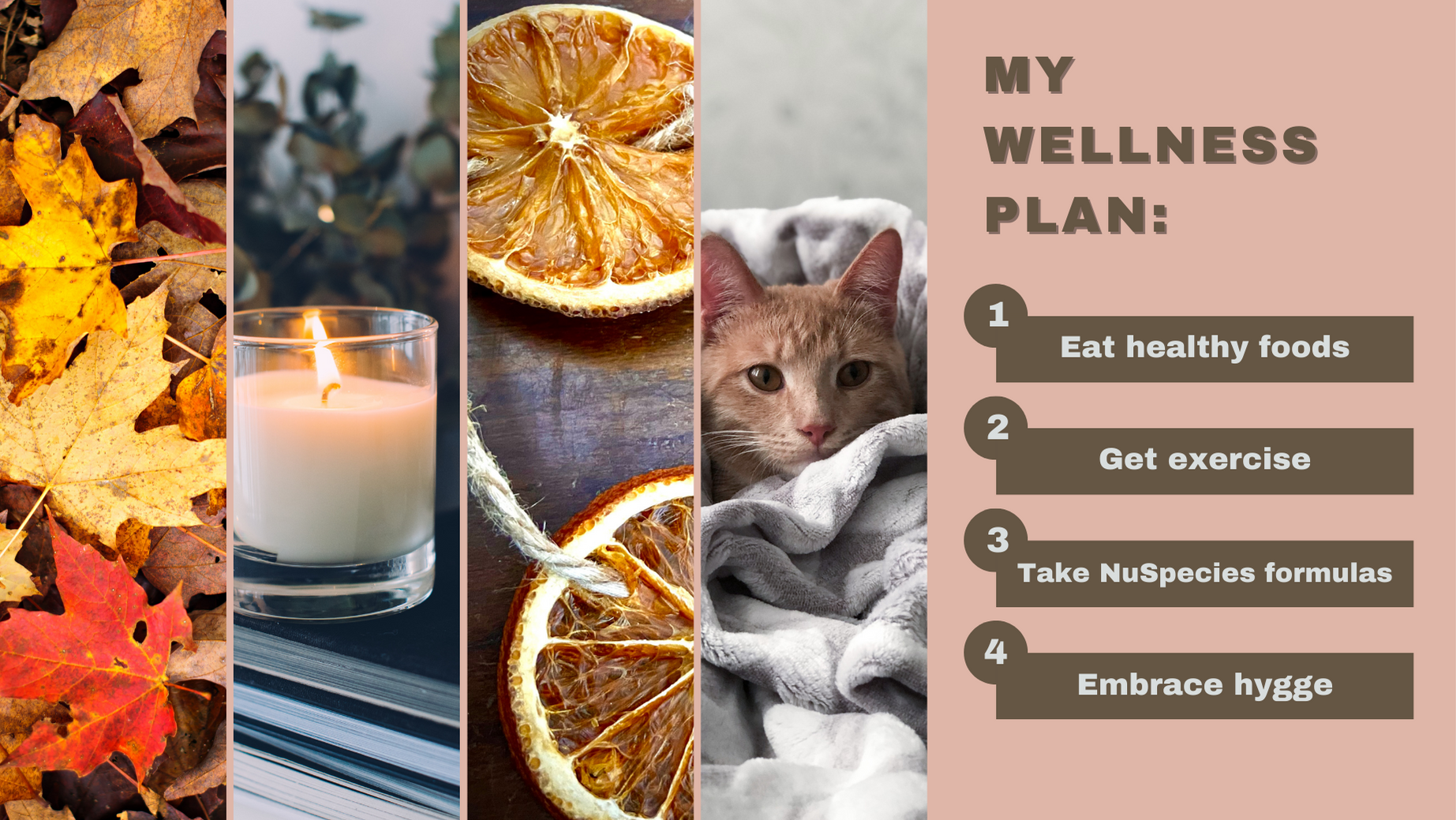 Hygge-Inspired Self Care: Embracing Coziness for Holistic Health