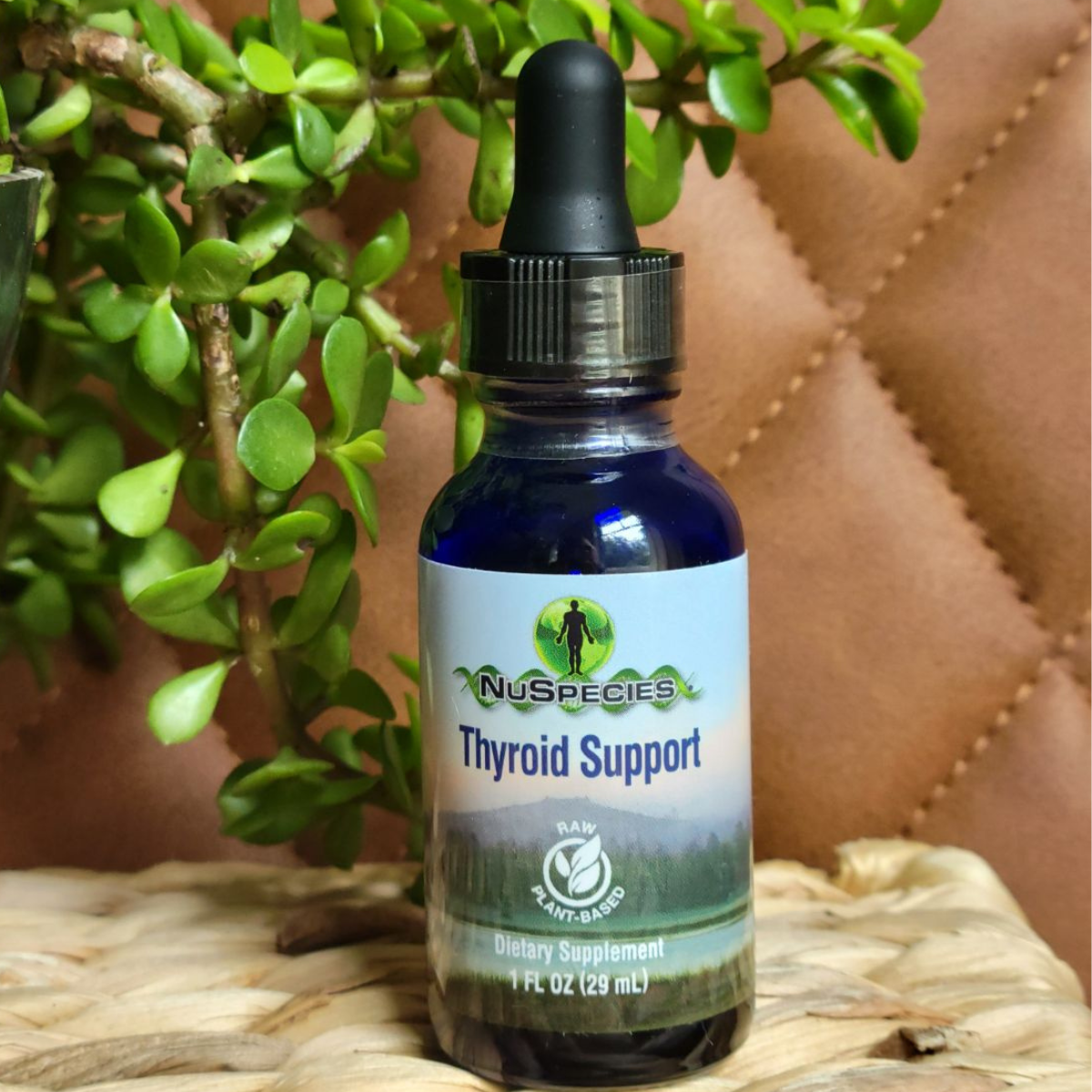 Thyroid Support 1 oz