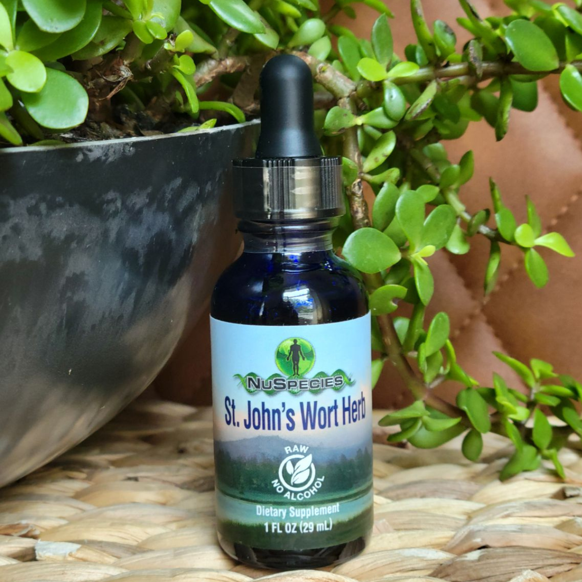 St. John's Wort Herb Extract 1 oz