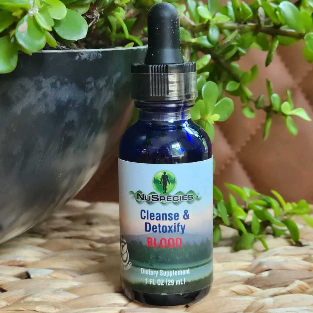 Cleanse & Detoxify Blood 1 oz