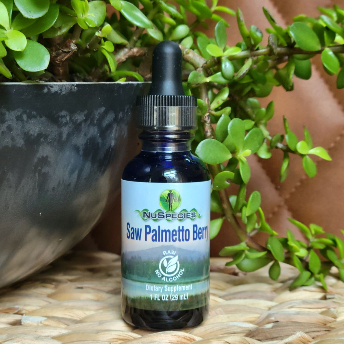 Saw Palmetto Berry Extract 1 oz