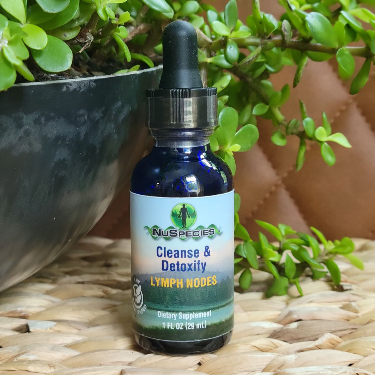 Cleanse & Detoxify Lymph Node 1 oz