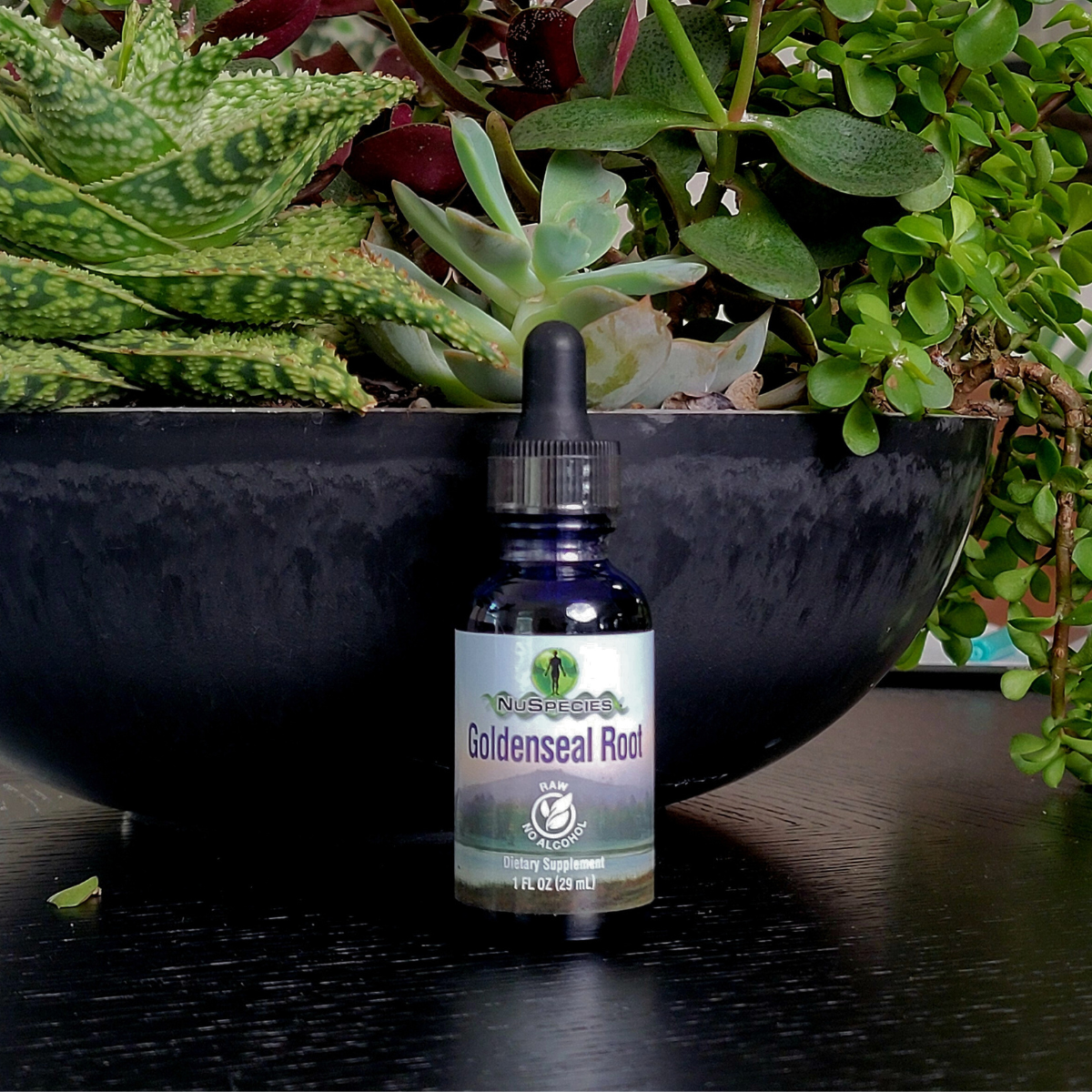 Goldenseal Root Extract 1 oz