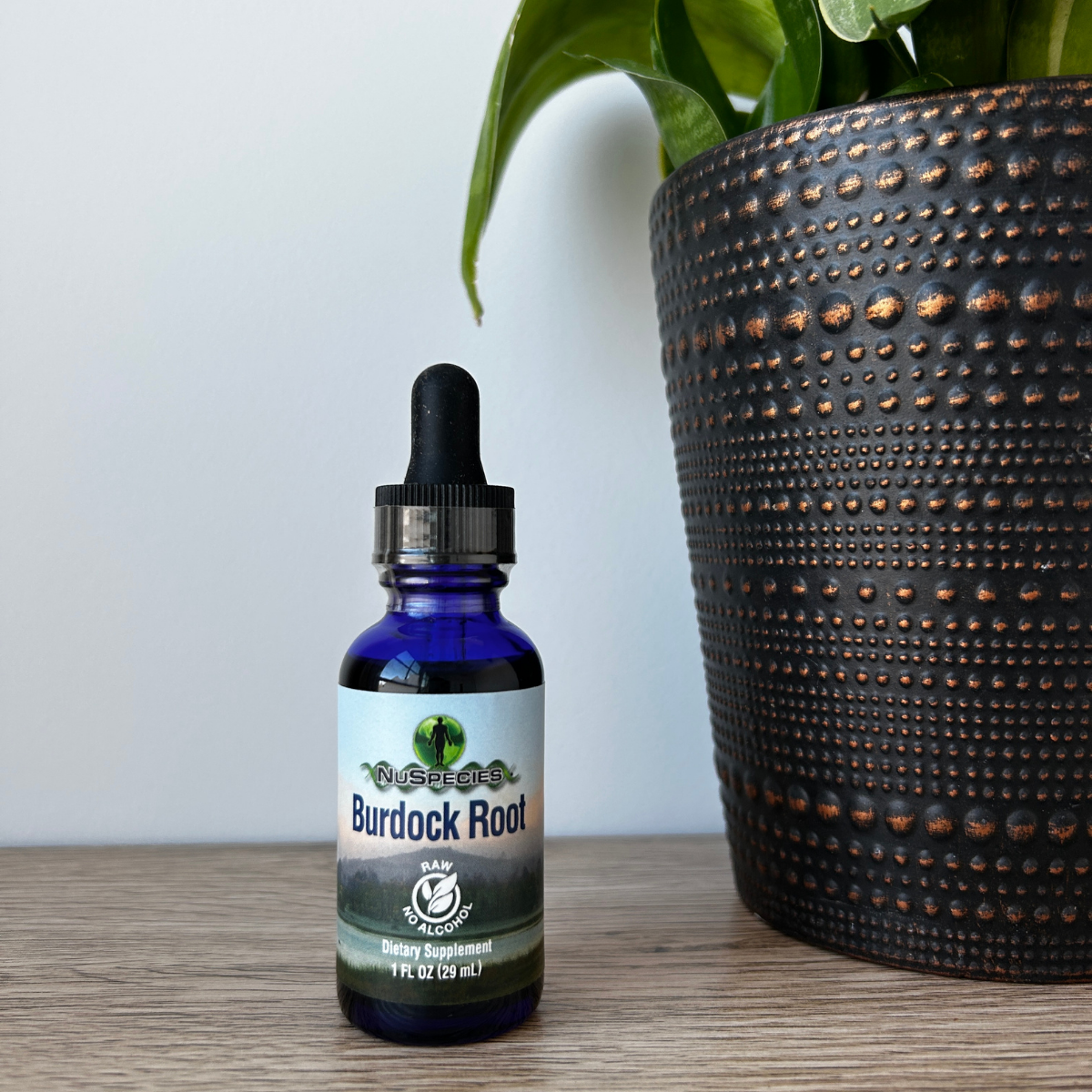 Burdock Root Extract 1 oz