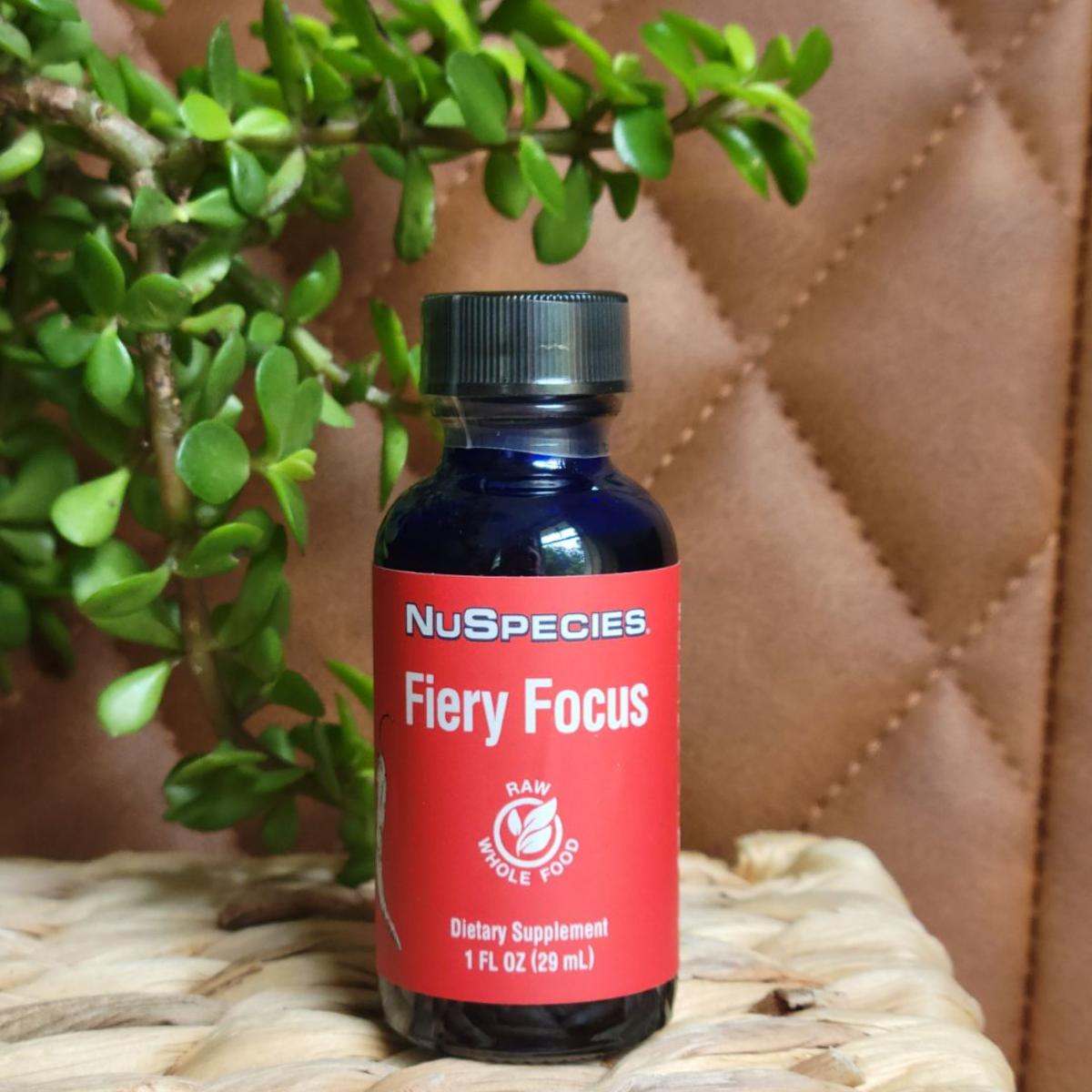 Fiery Focus 1 oz