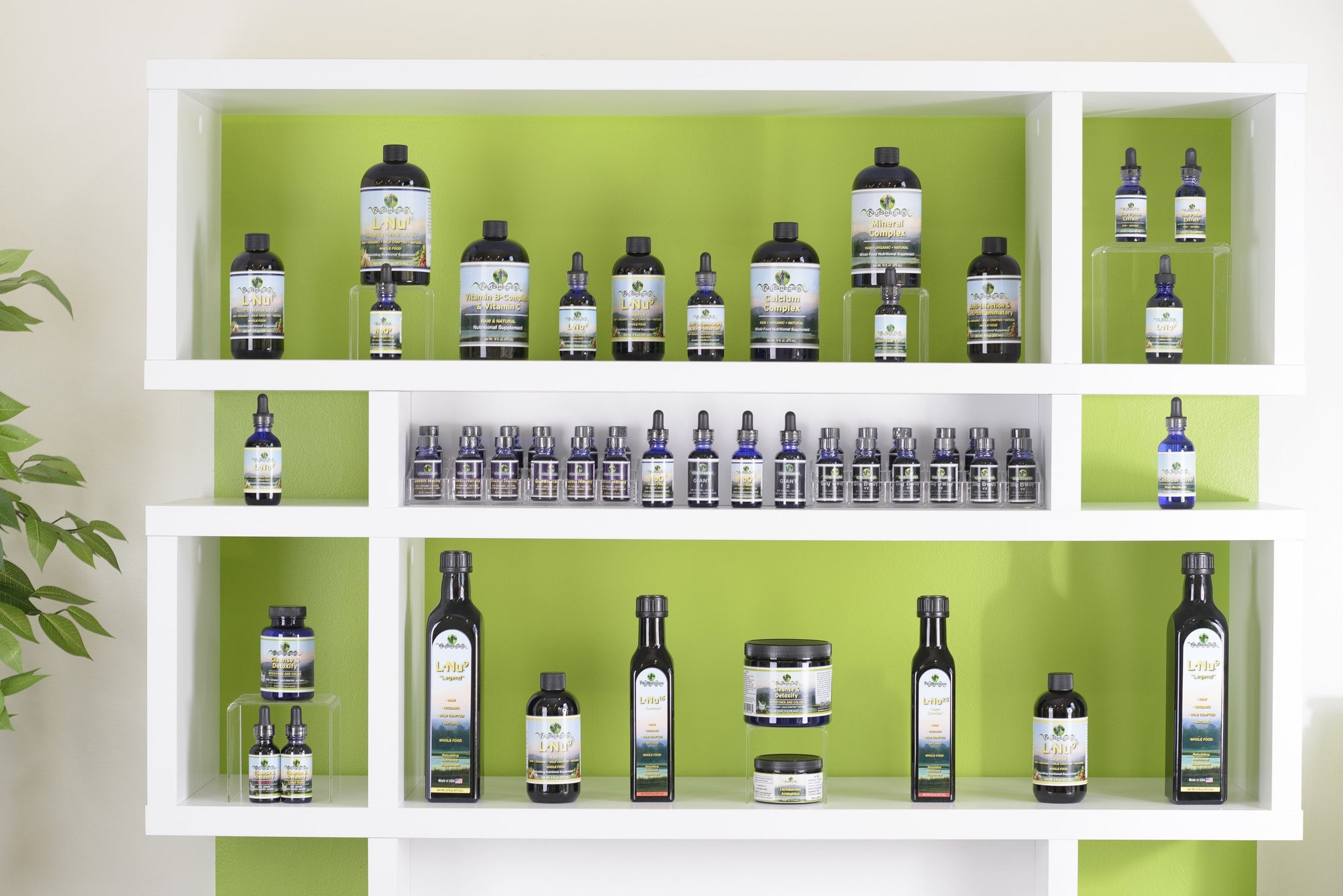 NuSpecies Plant-based Supplements & Herbal Medicine logo