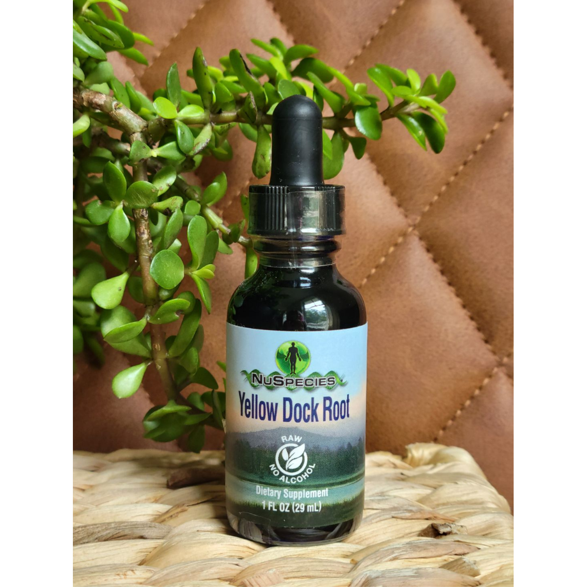 Yellow Dock Root Extract 1 oz