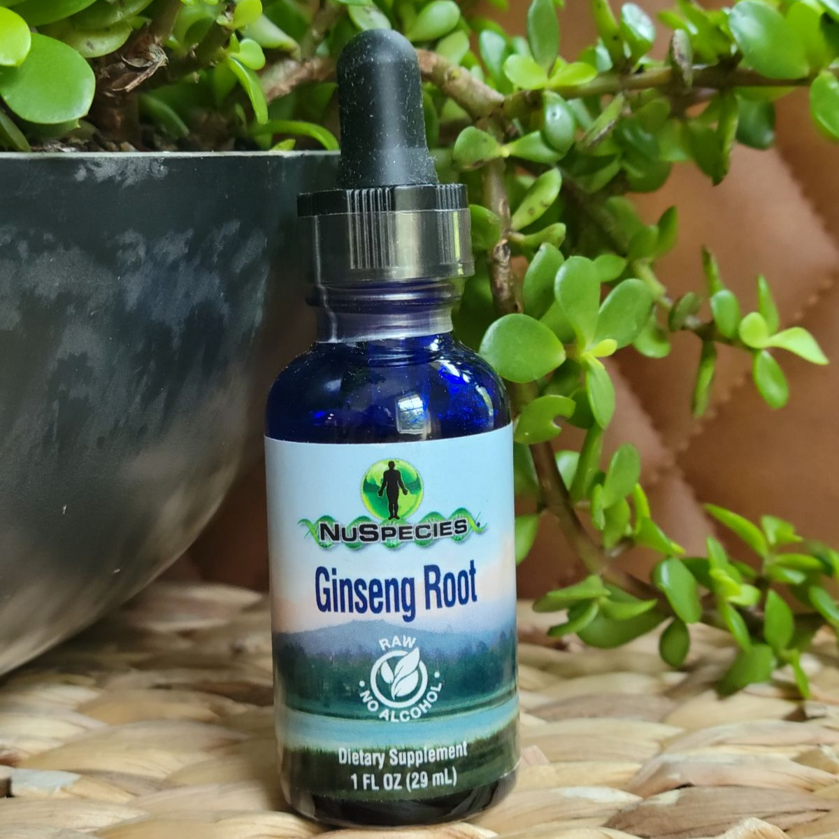 Ginseng Root Extract 1 oz