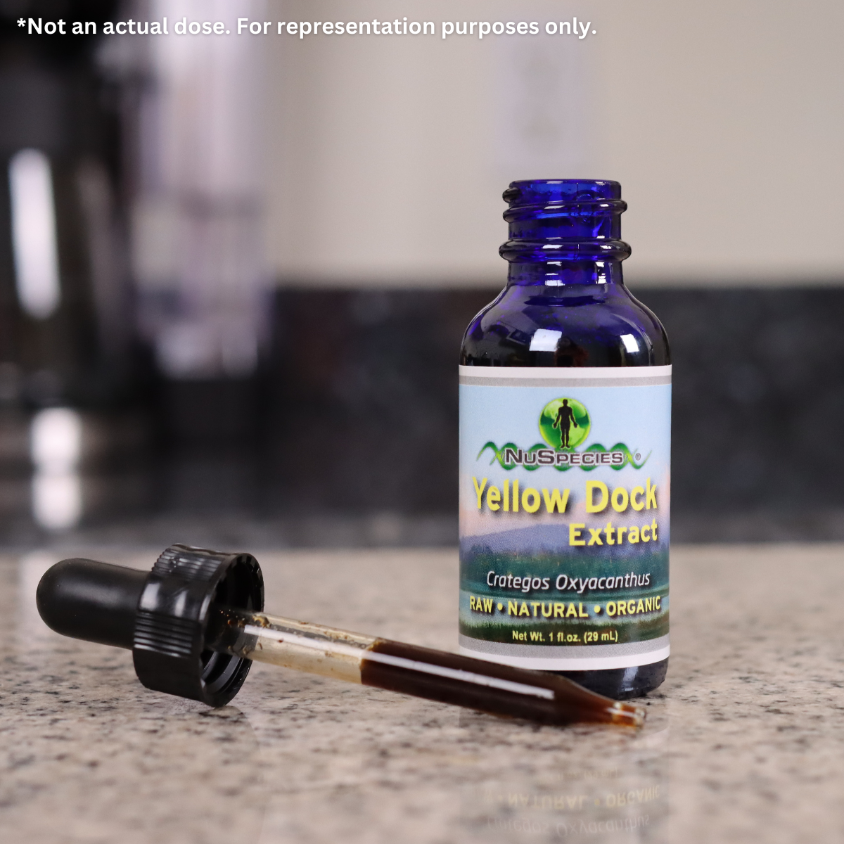 Yellow Dock Root Extract 1 oz