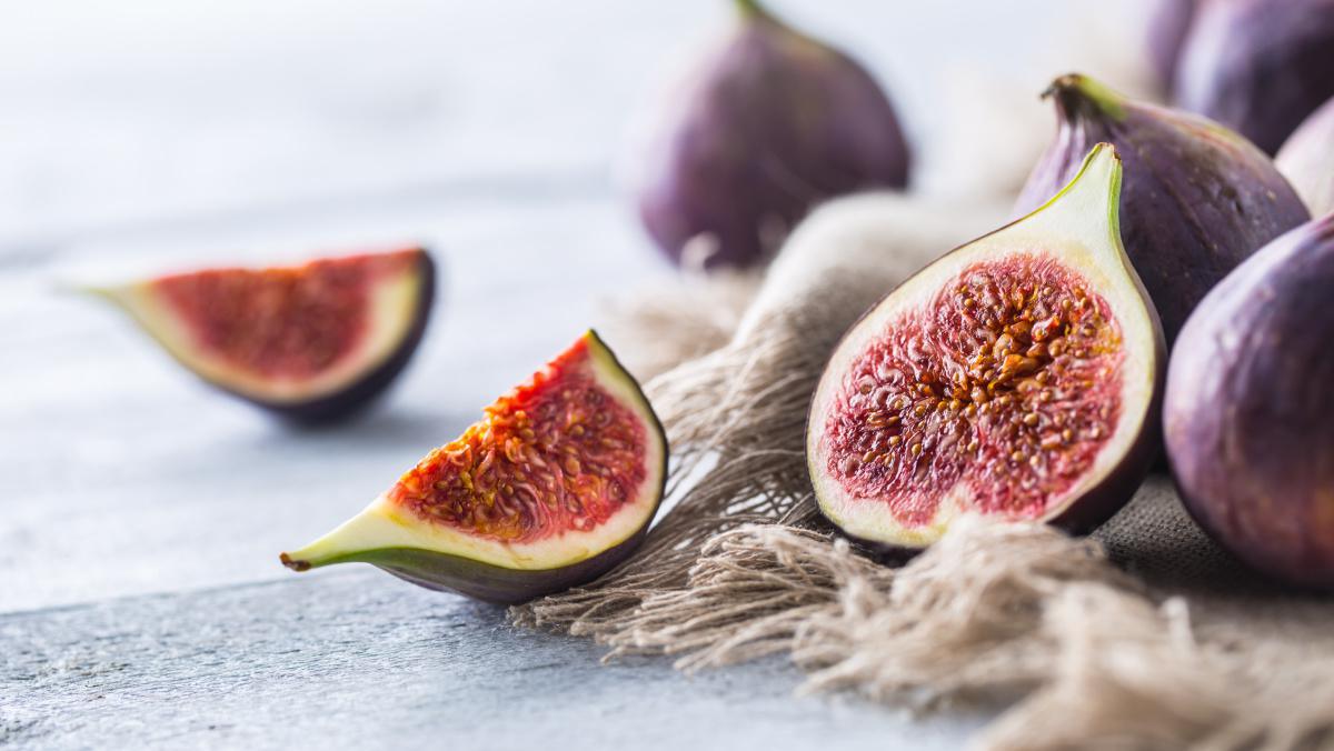 NUHISTORY: What the Earliest Prehistoric People Ate