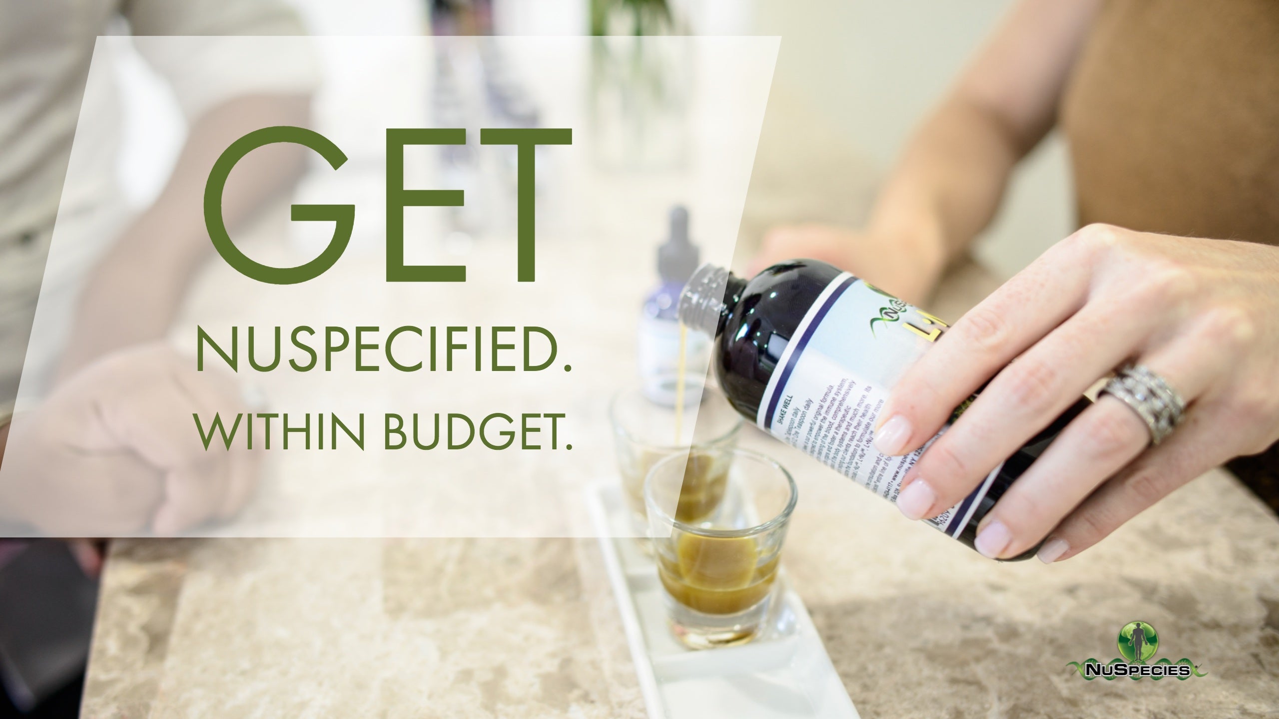 Get NuSpecified Within Budget
