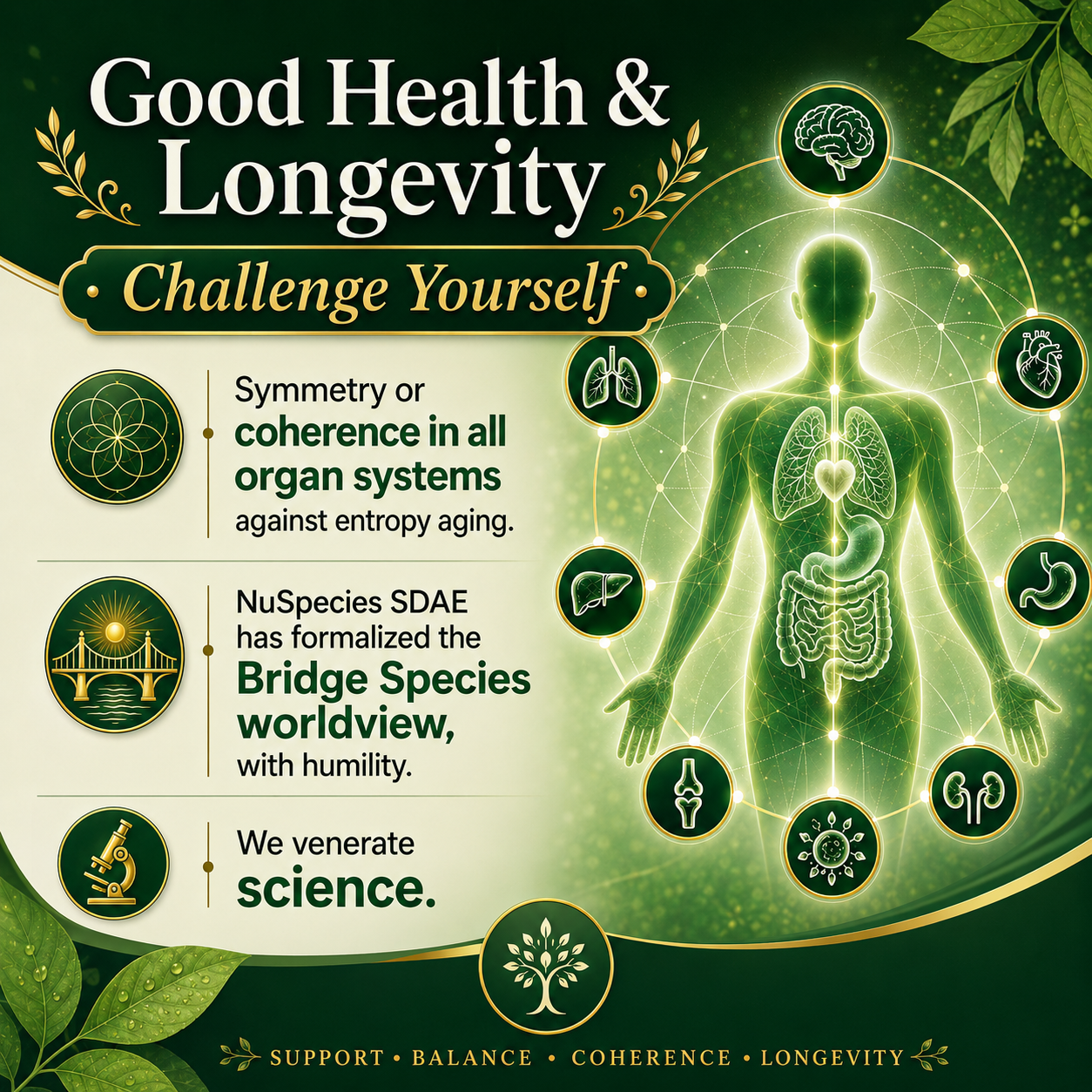 Overall Body Systems or Organ Systems and Cellular Purification