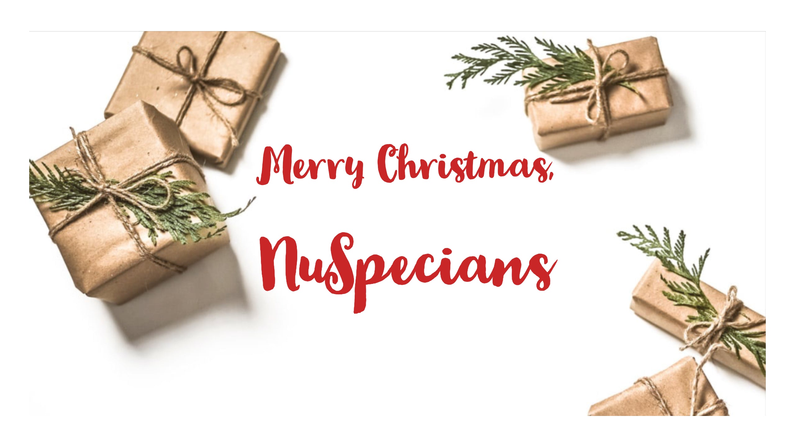 Christmas Promotion - Details