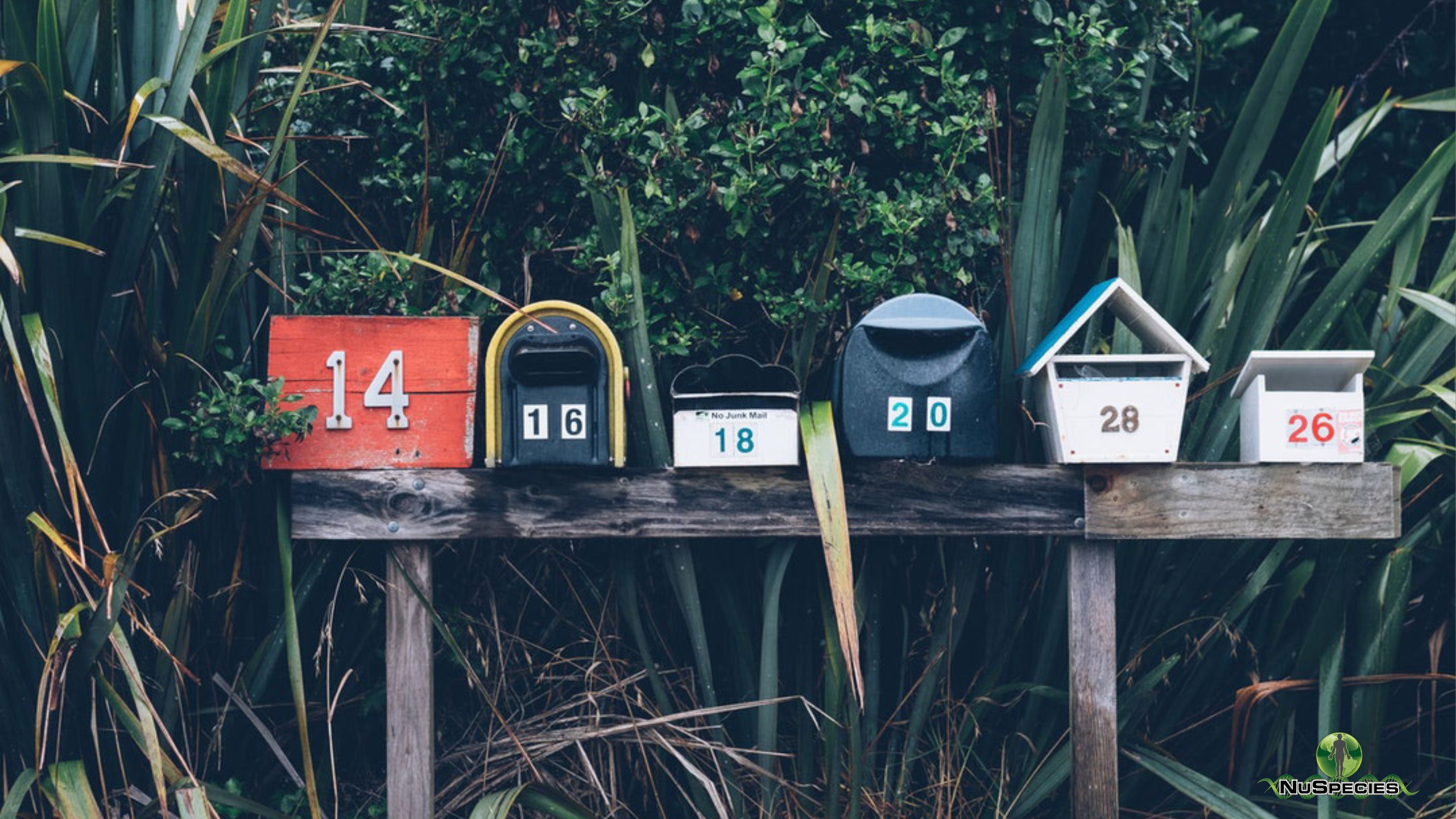 Why You Aren't Getting NuSpecies' Email