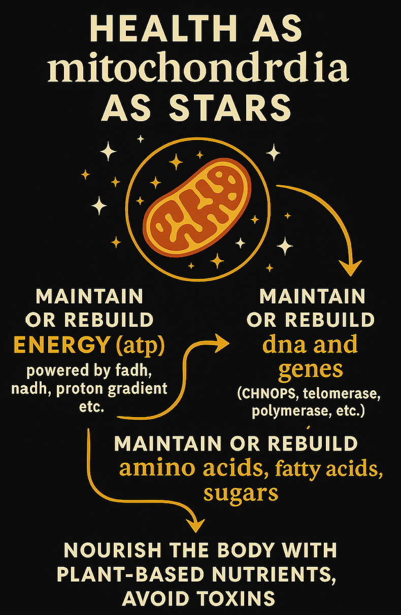 Restoring the Light of Life through Nature’s Intelligence Mind–body–spirit balance in energy flow