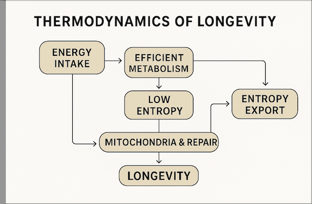 Nature’s Intelligence  Mind–Body–Spirit energy flow equilibrium required for Longevity!