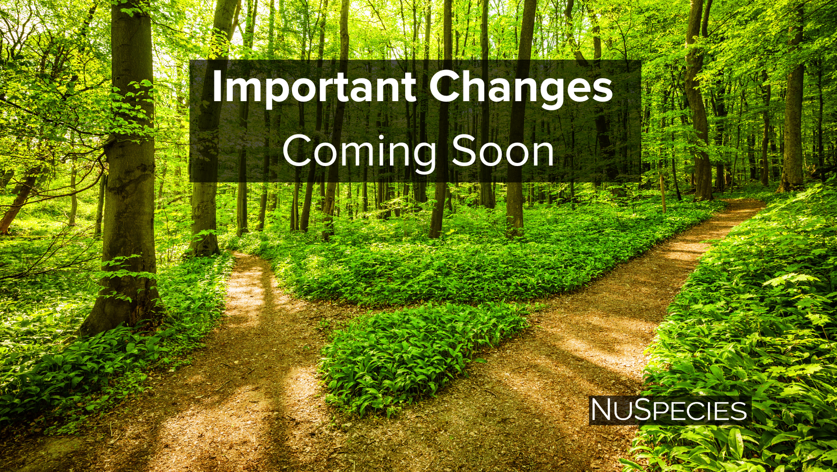 Two Important Announcements from Management