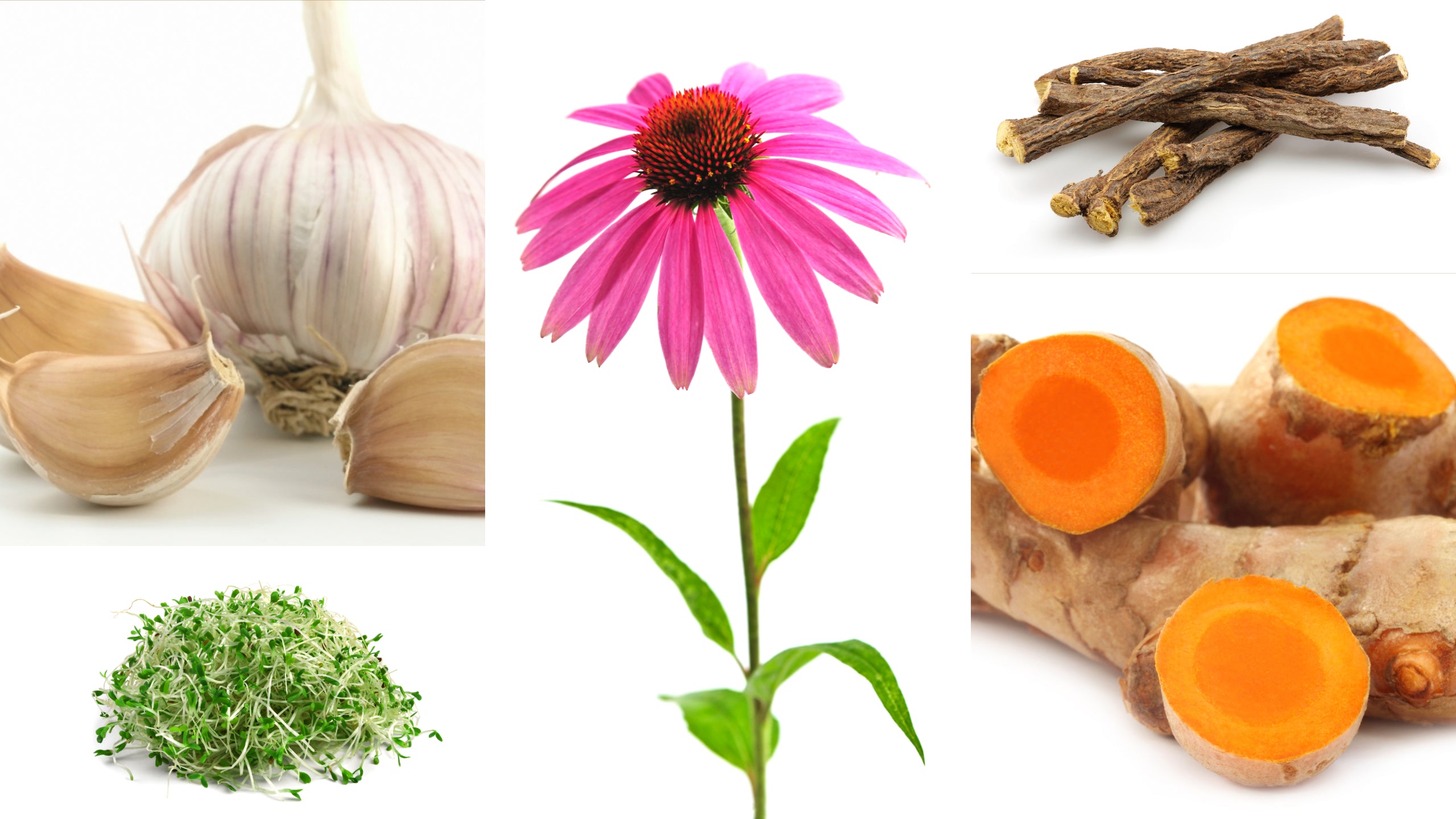 Want to Repair Your DNA? Don't Underestimate the Power of Vitamins & Minerals