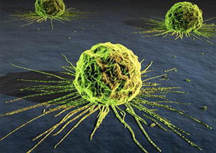 What is Cancer? Is there a cure?
