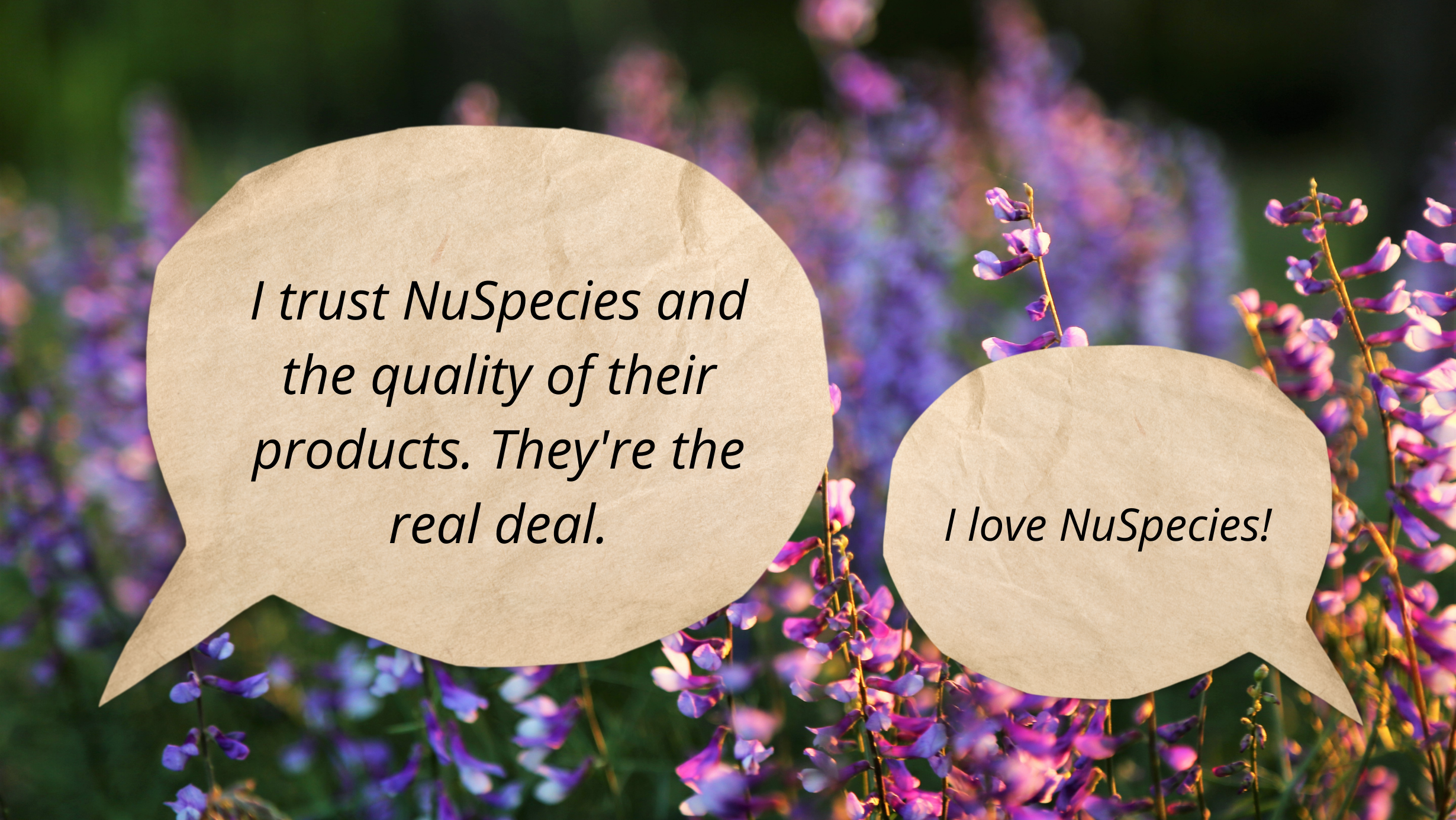 People Prefer to Hear From You