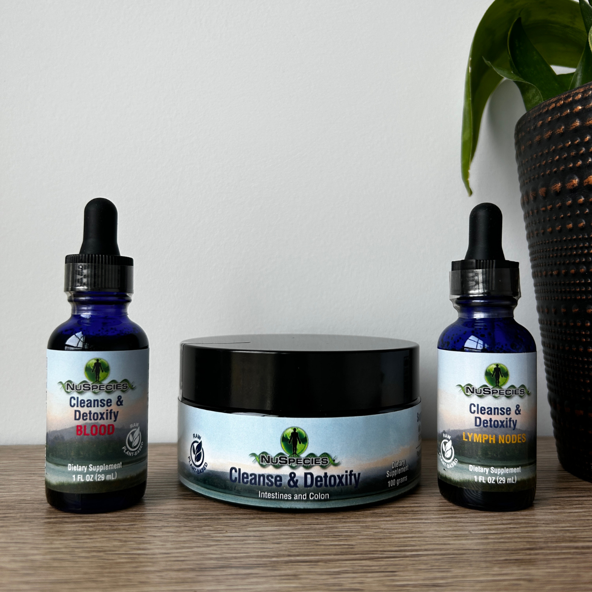 Detox System