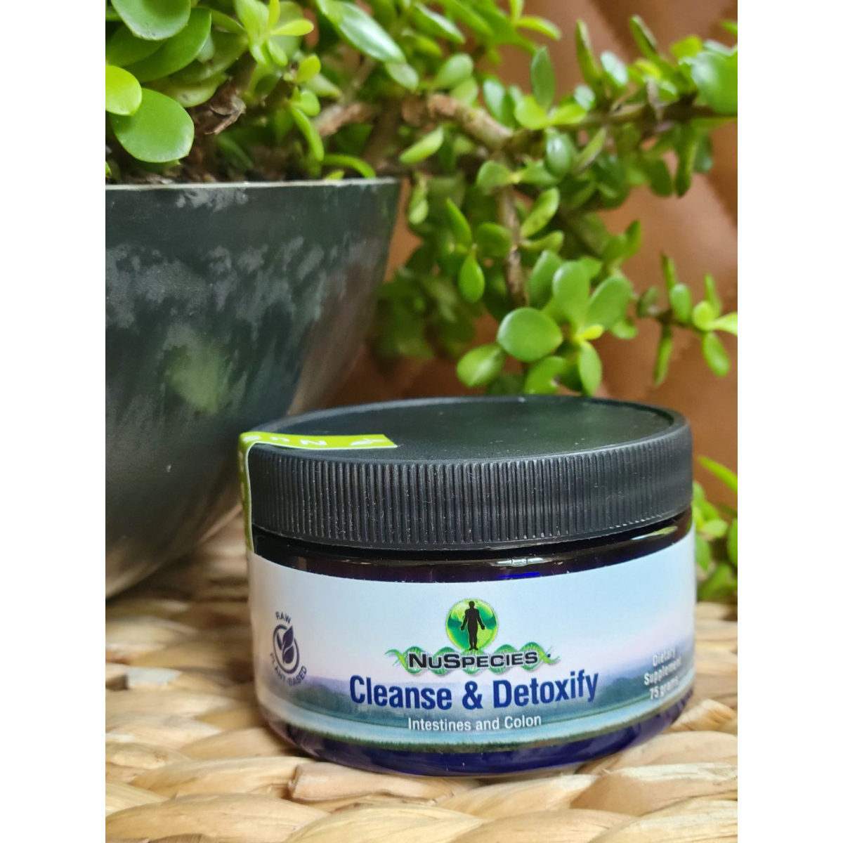 Cleanse & Detoxify Intestines & Colon - Powder