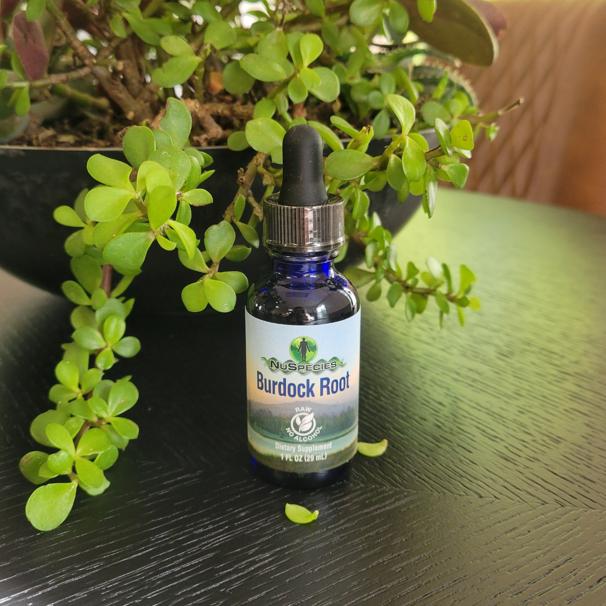 Burdock Root Extract 1 oz