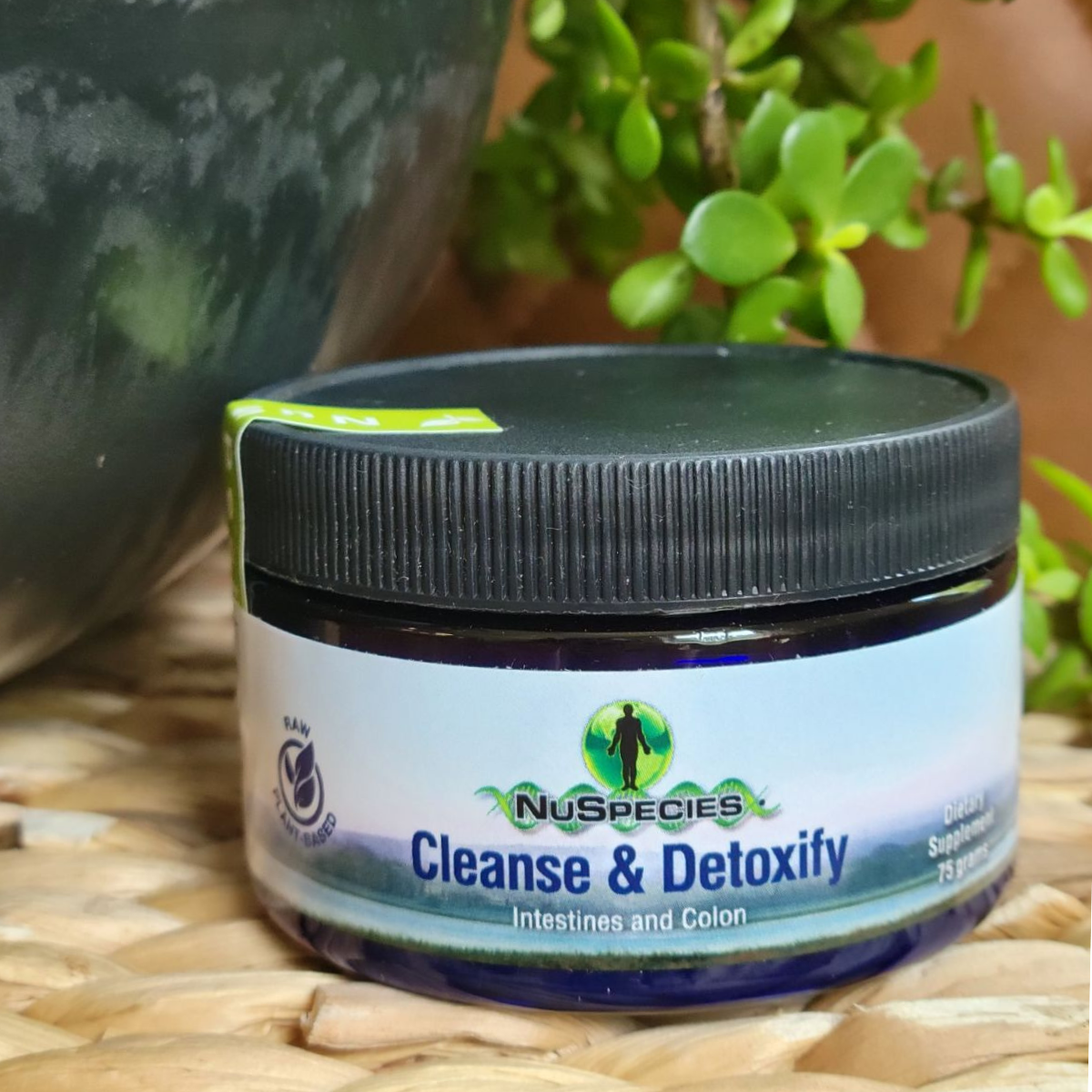 Cleanse & Detoxify Intestines & Colon - Powder