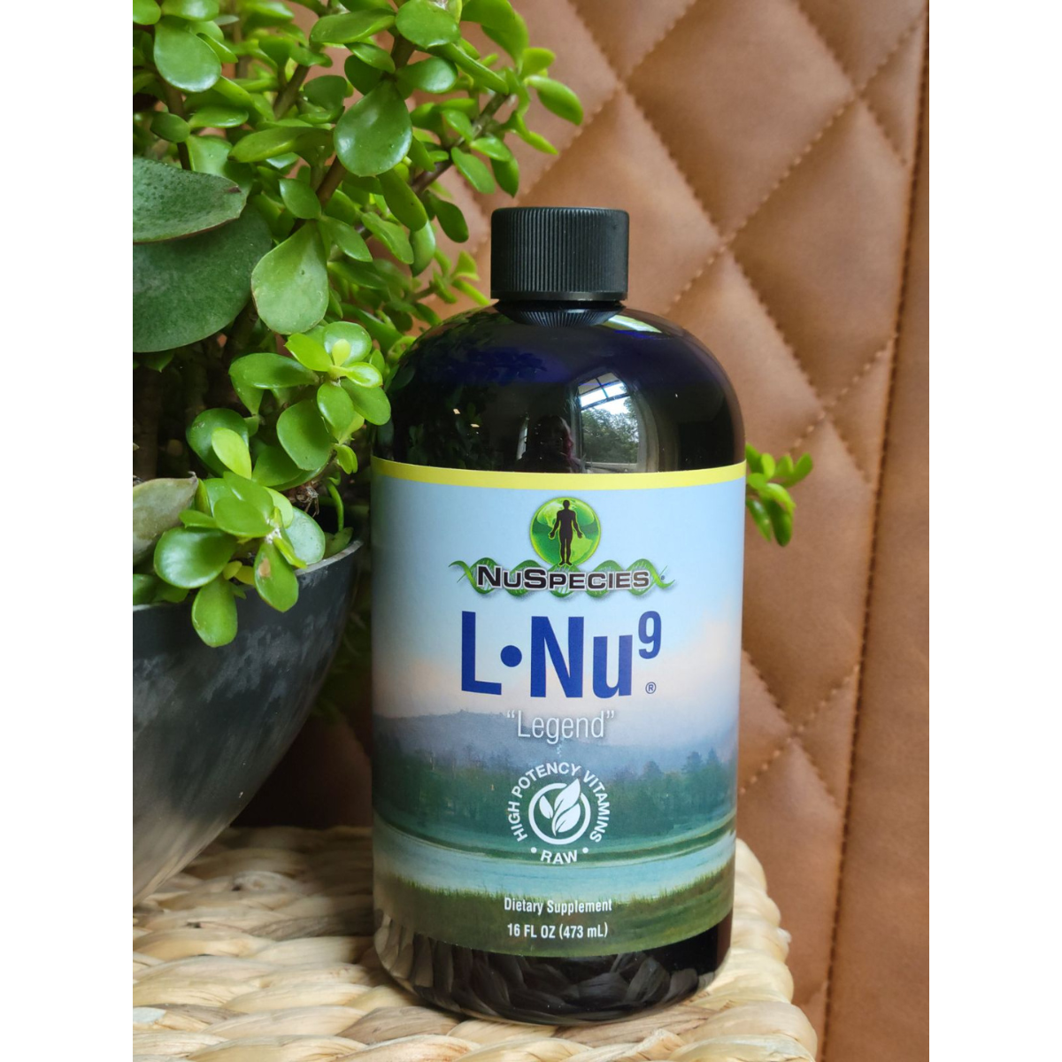 LNu9 ''Legend''
