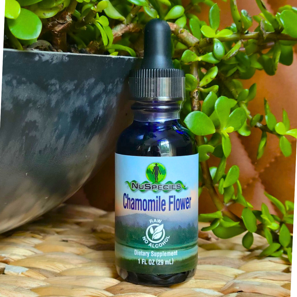Chamomile Flower Extract 1 oz