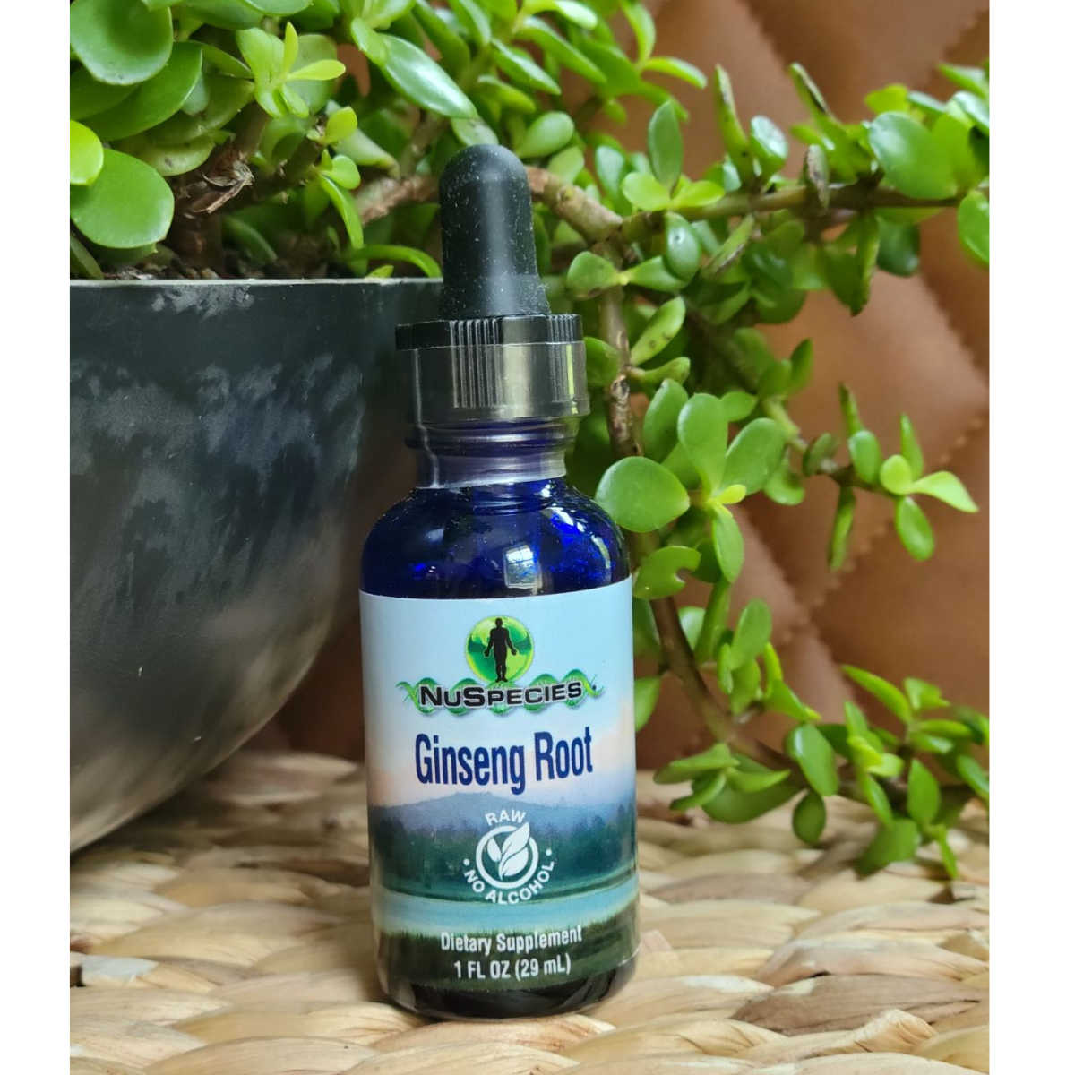 Ginseng Root Extract 1 oz