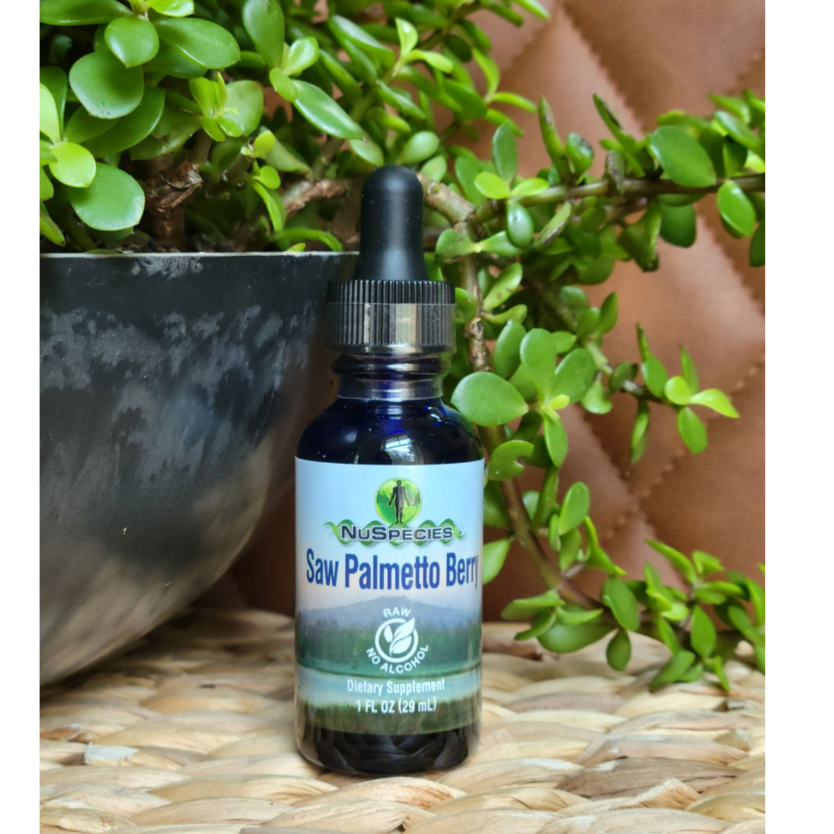 Saw Palmetto Berry Extract 1 oz