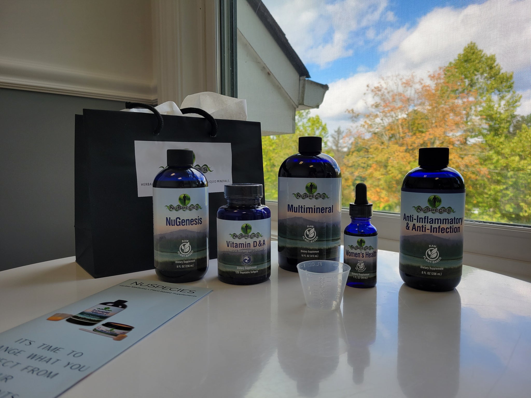 Women's Health Support 4