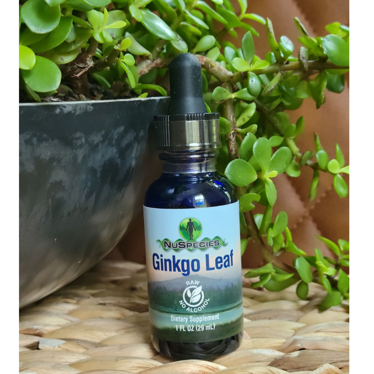 Ginkgo Leaf Extract 1 oz
