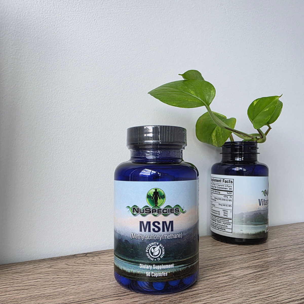 MSM Capsules