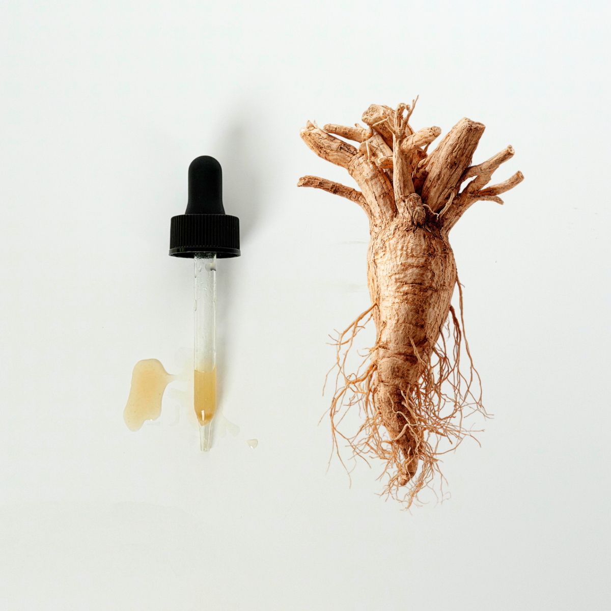 Raw Ashwagandha Root 1 oz