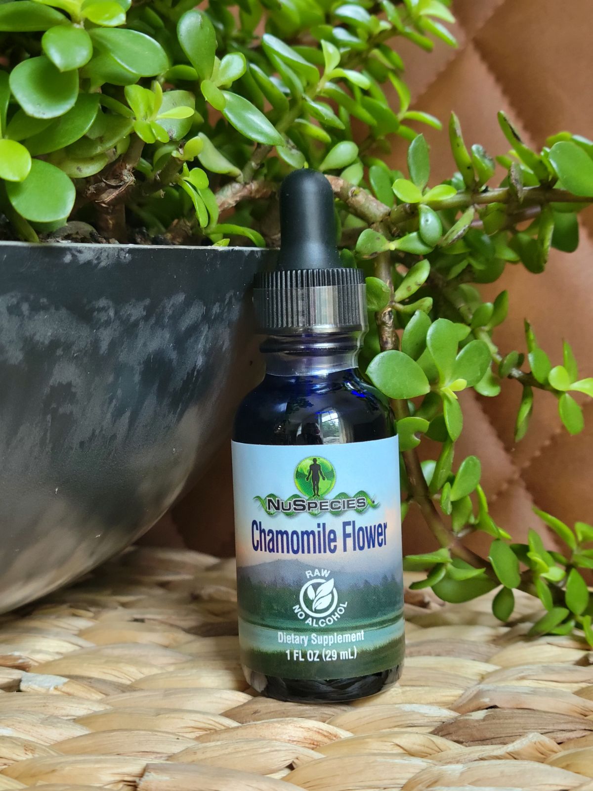 Chamomile Flower Extract 1 oz