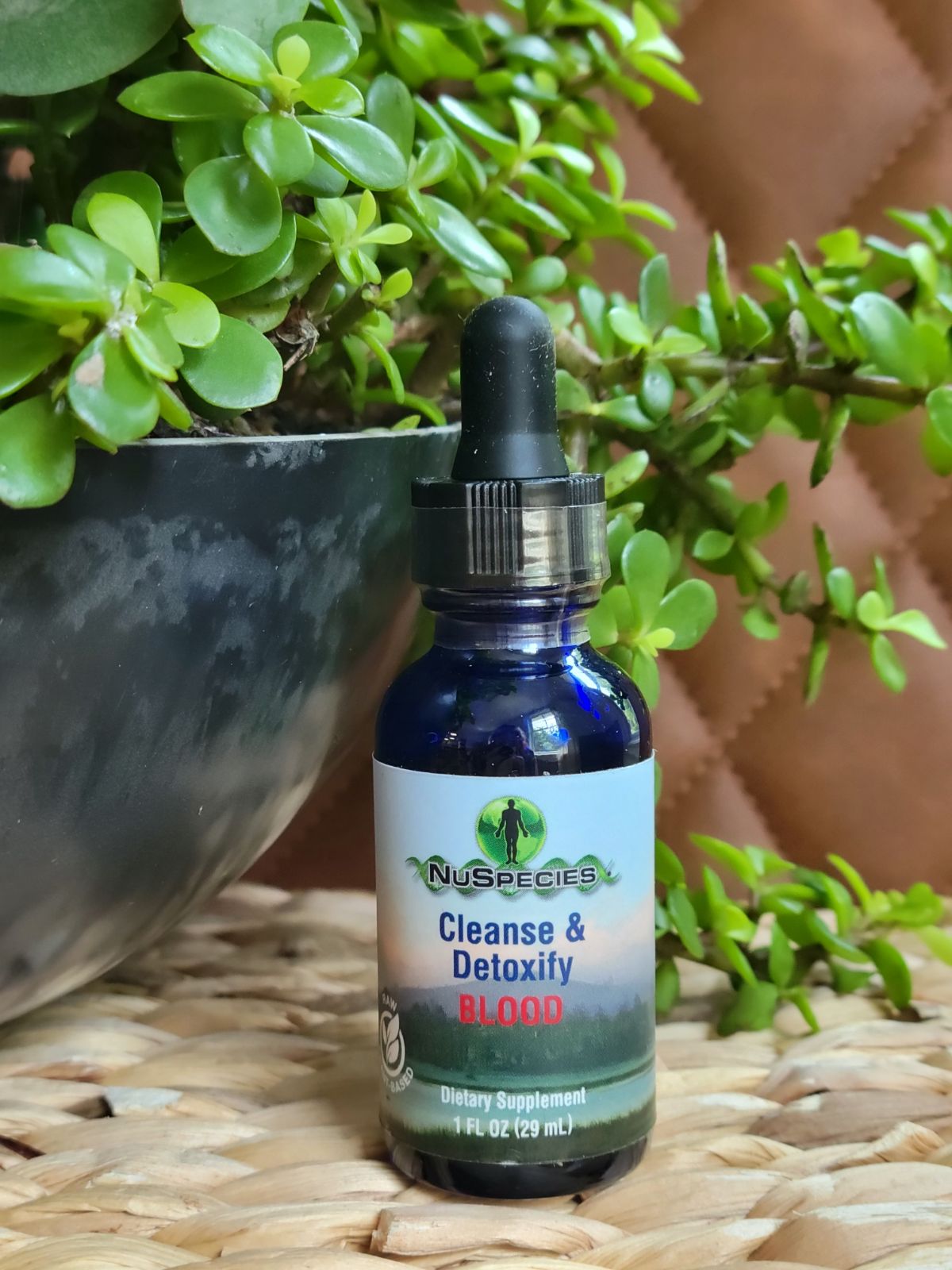 Cleanse & Detoxify Blood 1 oz