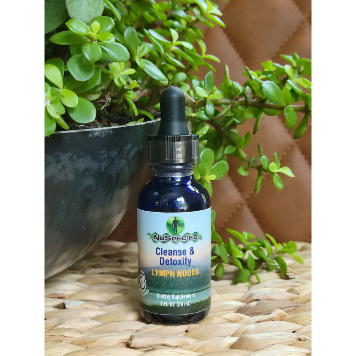 Cleanse & Detoxify Lymph Node 1 oz