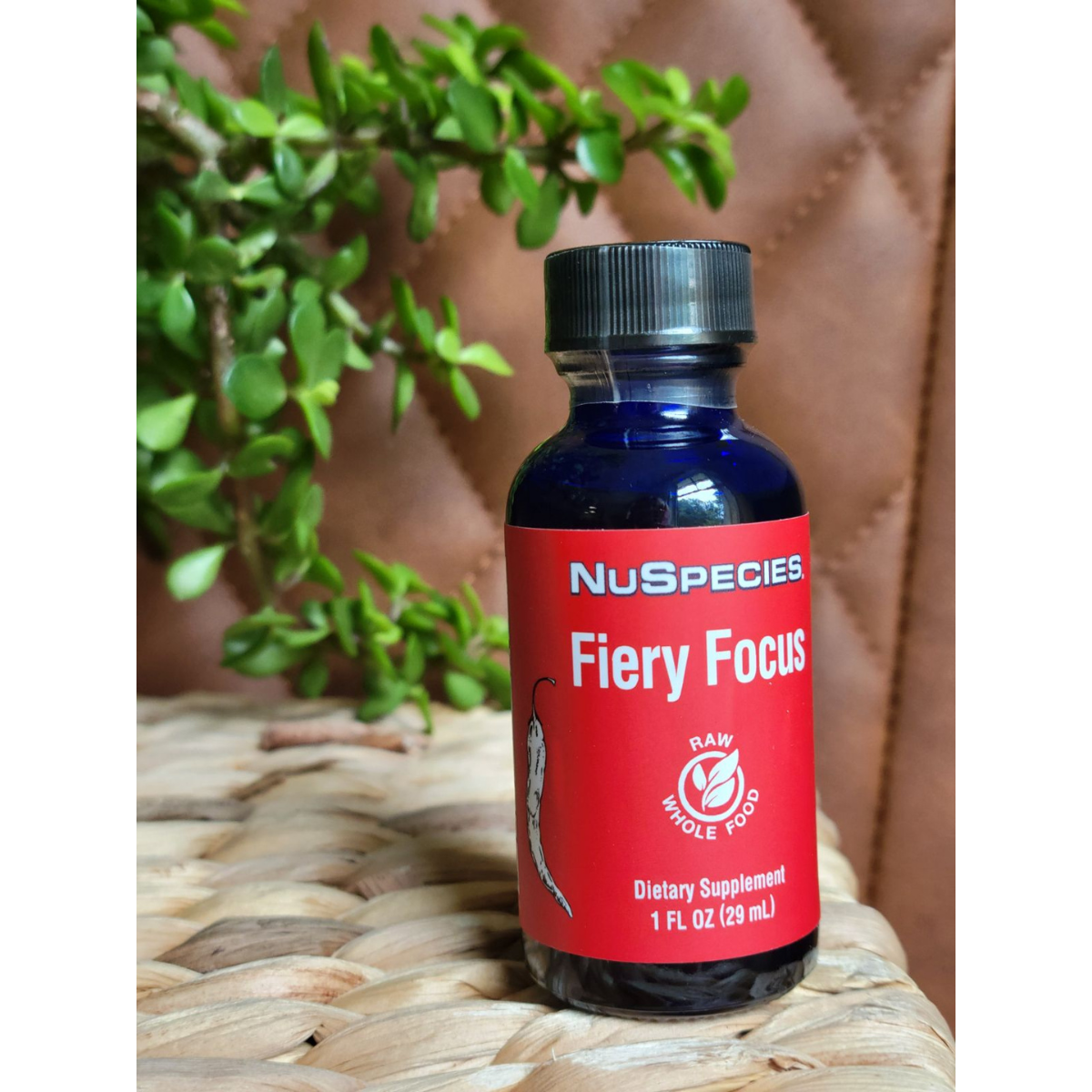 Fiery Focus 1 oz