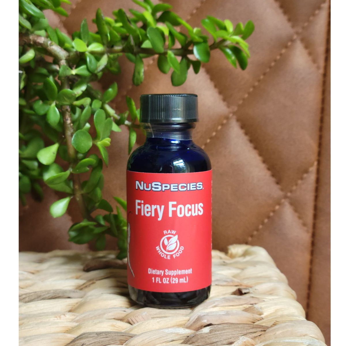 Fiery Focus 1 oz