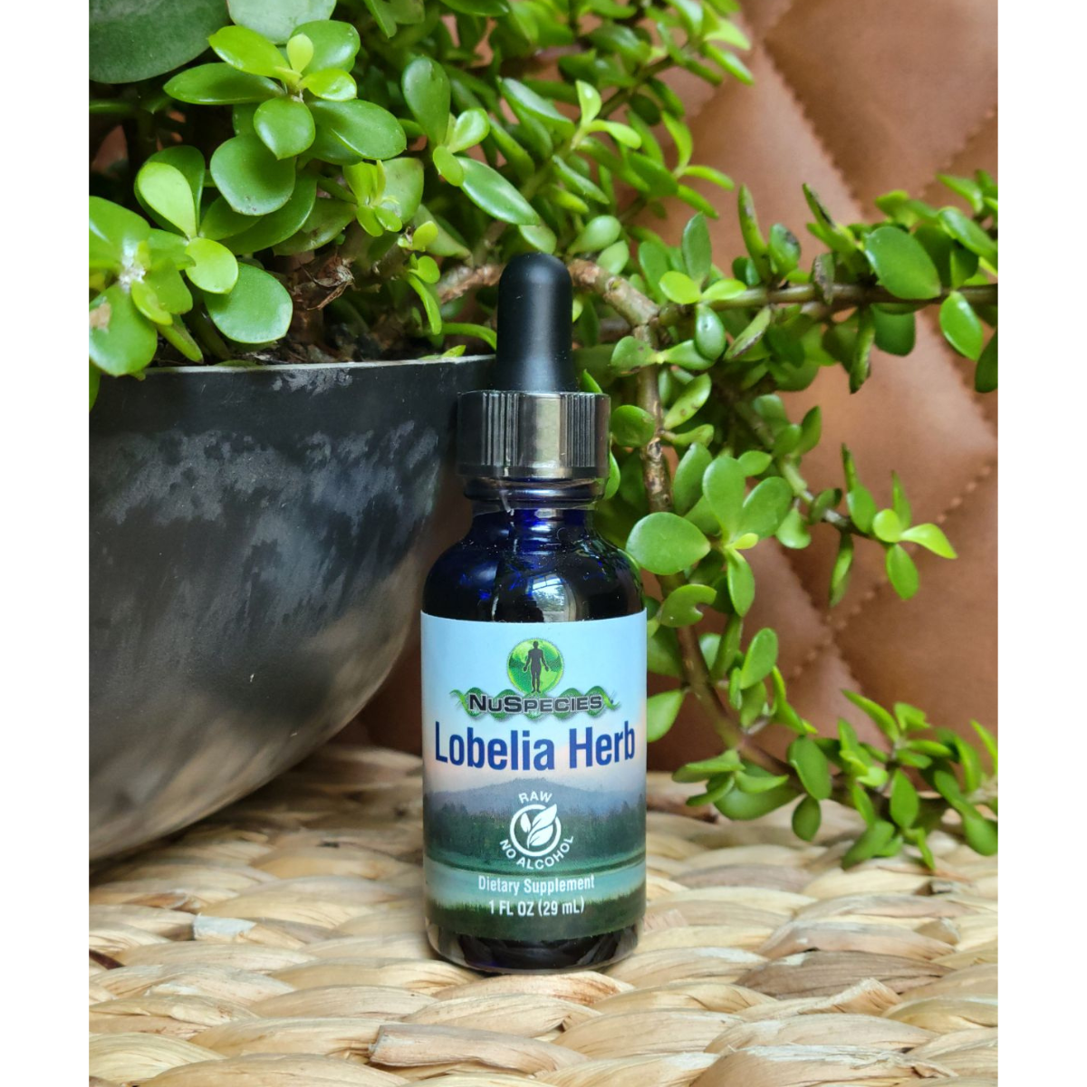 Lobelia Herb Extract 1 oz