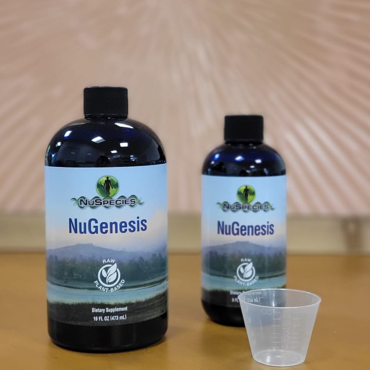 NuGenesis
