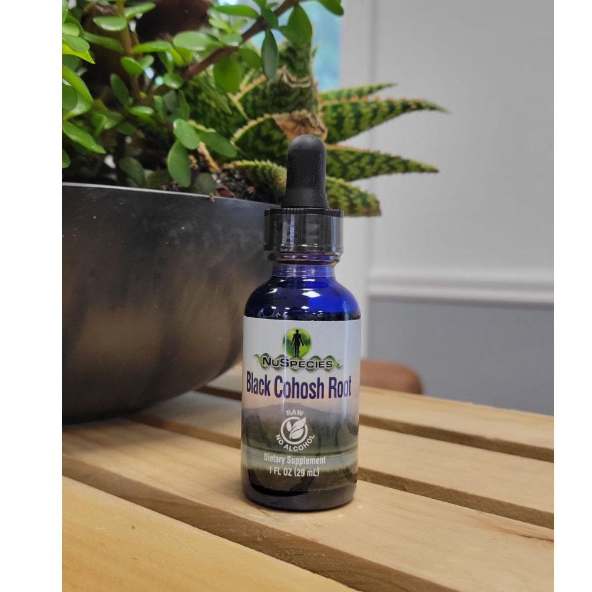 Black Cohosh Root 1 oz