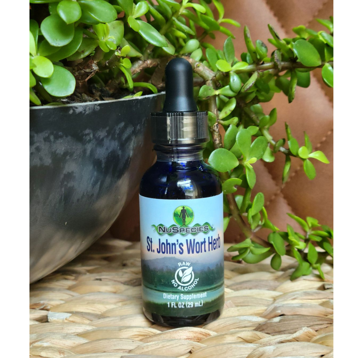 St. John's Wort Herb Extract 1 oz