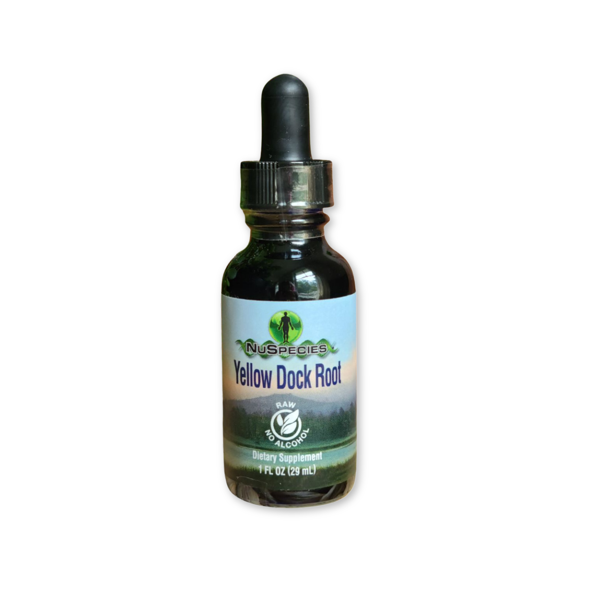 Raw Yellow Dock Root Extract