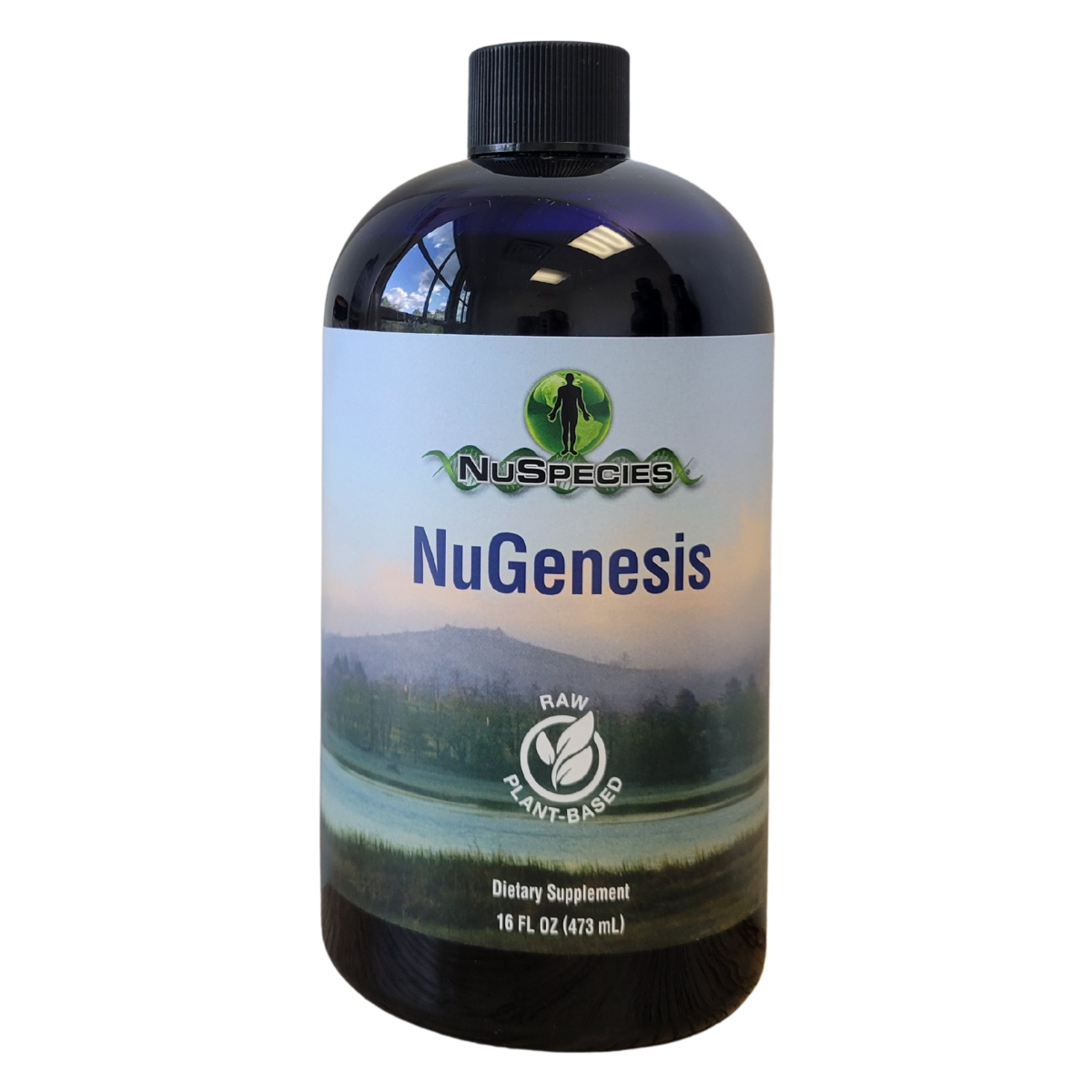 NuGenesis